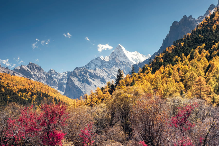Shangrila de China, rodeado de naturaleza verde, naranja y a lo lejos unas montañas nevadas